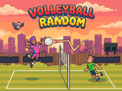 leikur Volleyball Random