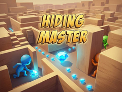 leikur Hiding Master