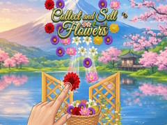 leikur Collect and Sell Flowers