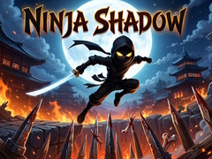leikur Ninja Shadow