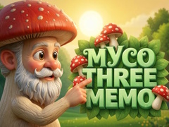 leikur Myco Three Memo