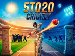 leikur 5TO20 Cricket