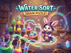 leikur Water Sort Brain Puzzles