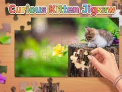 leikur Curious Kitten Jigsaw