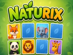 leikur Naturix