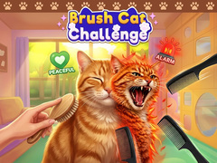 leikur Brush Cat Challenge 
