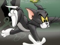 leikur Tom And Jerry Chase In Marsh
