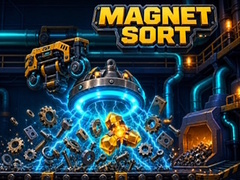 leikur Magnet Sort