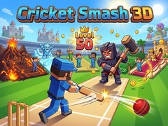 leikur Cricket Smash 3D