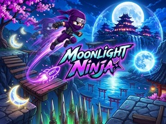 leikur Moonlight Ninja