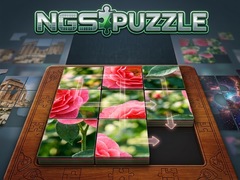 leikur NGS Puzzle
