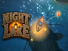 leikur Night Lake