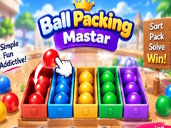 leikur Packing Master Puzzle