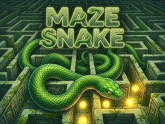 leikur Maze Snake