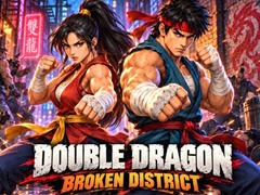 leikur Double Dragon Broken District