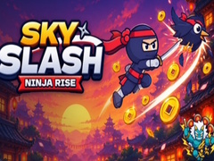 leikur Sky Slash Ninja Rise
