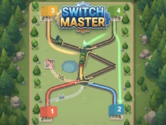 leikur Switch Master
