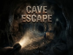 leikur Cave Run