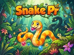leikur Snake Pr
