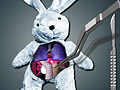 leikur Save The Bunny