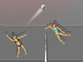 leikur Ragdoll Volleyball