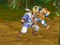 leikur Dynasty Warrior