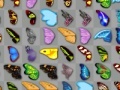 leikur Butterfly kyodai