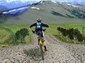 leikur 3D Mountain Bike
