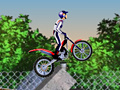 leikur Bike Mania Arena 2