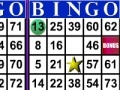 leikur Bingo 