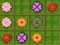 leikur Floribular