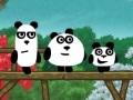 3 Pandas leikir 