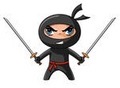 Ninja leikur 