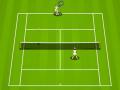 Tennis leikur 