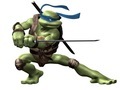 Teenage Mutant Turtles Ninja leikur 