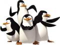 Mörgæs á Madagaskar leikjum 
