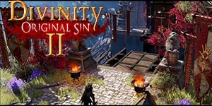 Divinity: Original Syn 2 