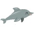 Dolphin sýna leiki 